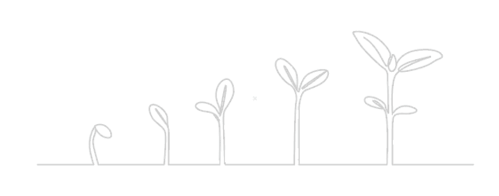 Ilustração decorativa